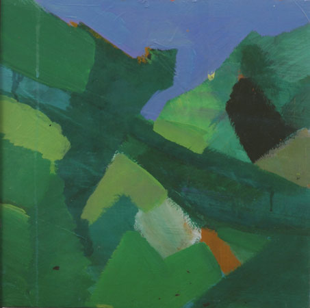 campiture verdi